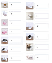 Laden Sie das Bild in den Galerie-Viewer, Katzennapf einzeln oder doppelt als Katzengesicht Fressnapf Trinkschale Wassernapf - verschiedene Farben - WhiteWhiskers