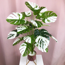 Laden Sie das Bild in den Galerie-Viewer, Kunstpflanze Monstera Variegata halfmoon - 65cm oder 75cm