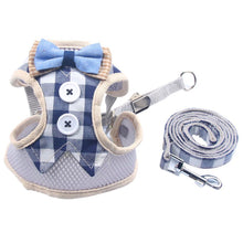 Laden Sie das Bild in den Galerie-Viewer, Geschirr mit Leine Haustier Katze / Hund kariert - WhiteWhiskers