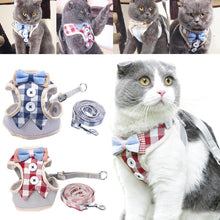 Laden Sie das Bild in den Galerie-Viewer, Geschirr mit Leine Haustier Katze / Hund kariert - WhiteWhiskers