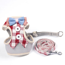 Laden Sie das Bild in den Galerie-Viewer, Geschirr mit Leine Haustier Katze / Hund kariert - WhiteWhiskers