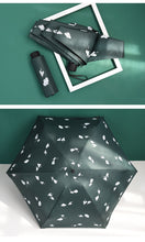 Laden Sie das Bild in den Galerie-Viewer, süße Regenschirme mit tollen Motiven in strahlenden Farben - WhiteWhiskers