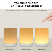 Laden Sie das Bild in den Galerie-Viewer, Wiederaufladbare LED Smart Touch Lampe - 25h Leuchtdauer mit einer Aufladung - Farben veränderbar - dimmbar - WhiteWhiskers
