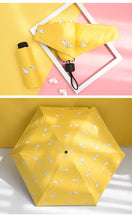 Laden Sie das Bild in den Galerie-Viewer, süße Regenschirme mit tollen Motiven in strahlenden Farben - WhiteWhiskers
