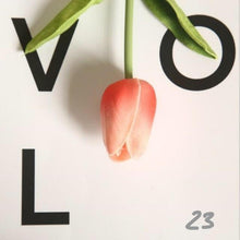 Load image into Gallery viewer, 31 x Tulpen Set in verschiedenen Farben &amp; Formen | große Auswahl |  Deko Blumen | Kunsttulpen - WhiteWhiskers
