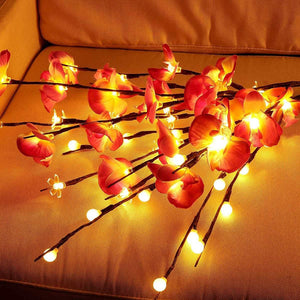 luminous orchids with 20 LEDs