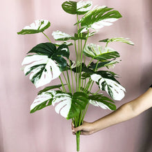 Laden Sie das Bild in den Galerie-Viewer, Kunstpflanze Monstera Variegata halfmoon - 65cm oder 75cm
