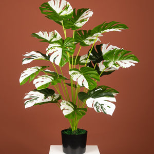 Kunstpflanze Monstera Variegata halfmoon - 65cm oder 75cm